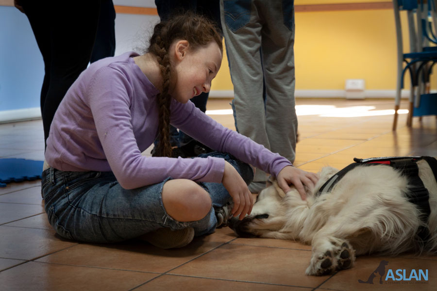 Insieme a te. Un cane per amico
