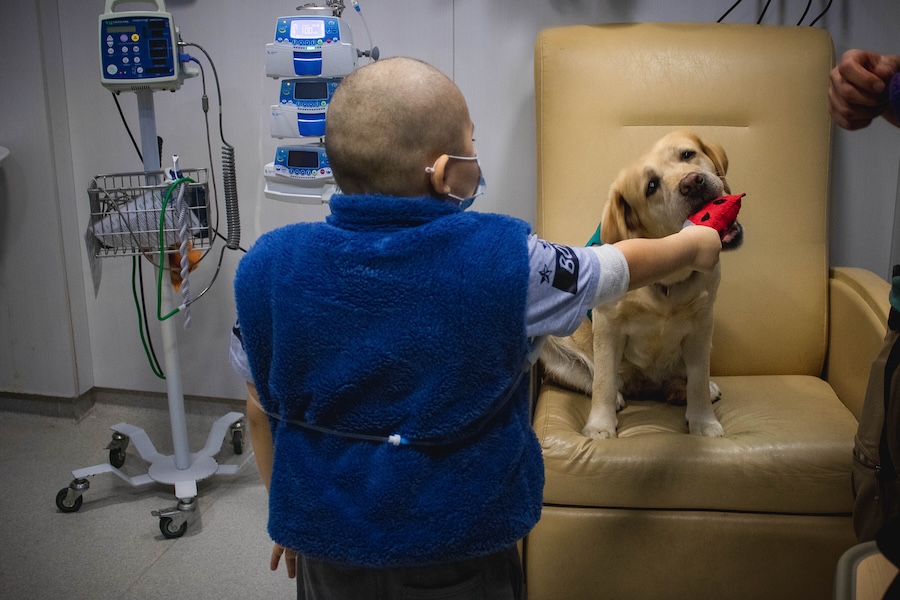 Pet Therapy in healthcare
