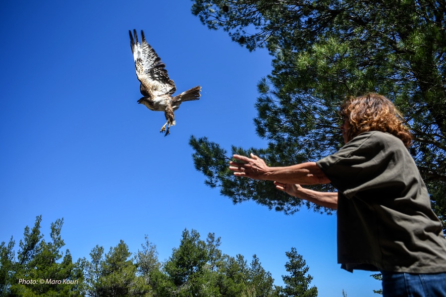 Flight to Freedom
