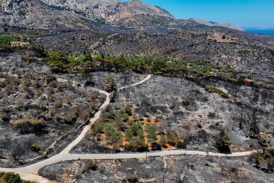 Ricostruire la resilienza a Chios