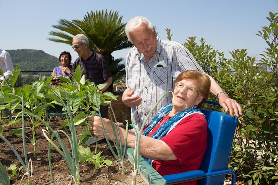 Community Therapeutic Garden
