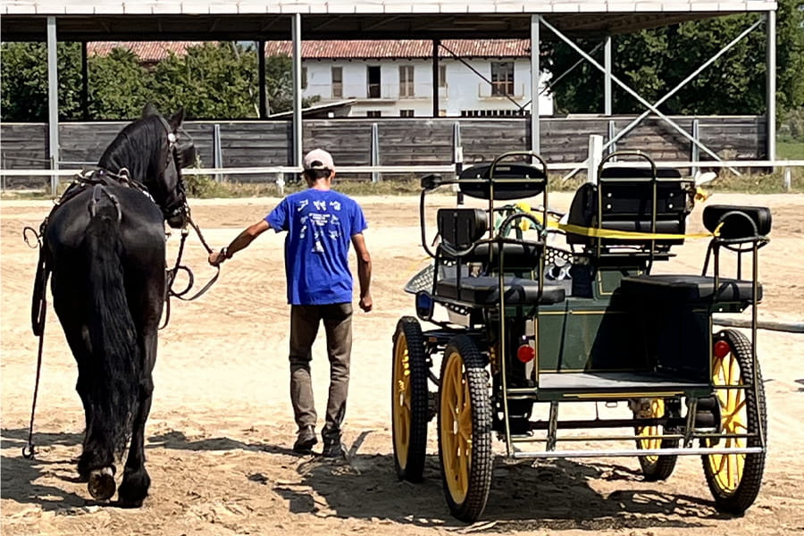 A carriage for a dream
