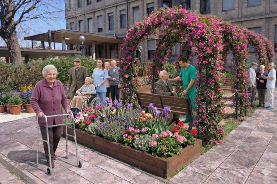 The Sensory Garden