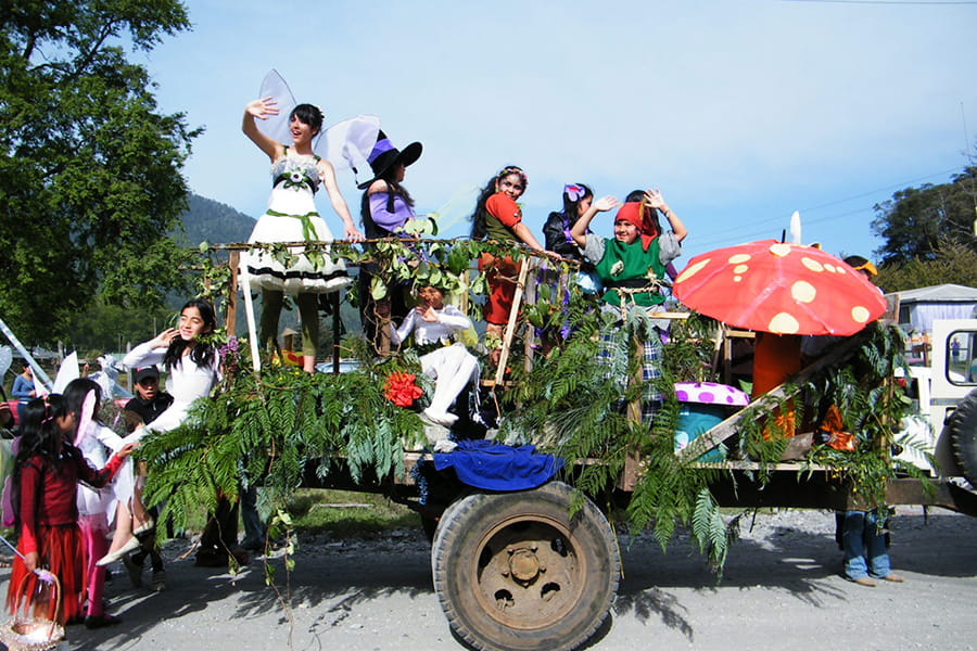 12th Forest Festival: Culture and Community in Neltume