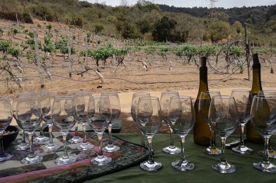 Slow Food Chile: Marga Marga y la tradición del vino
