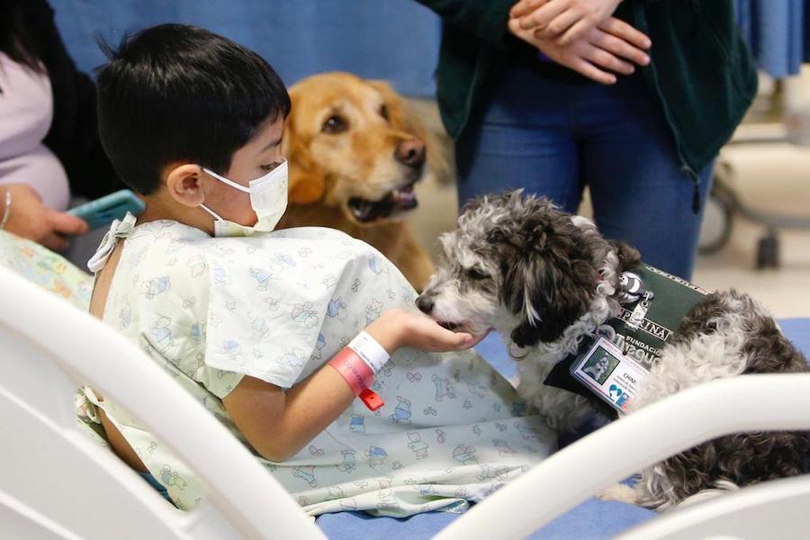 Interventi Assistiti con i Cani
