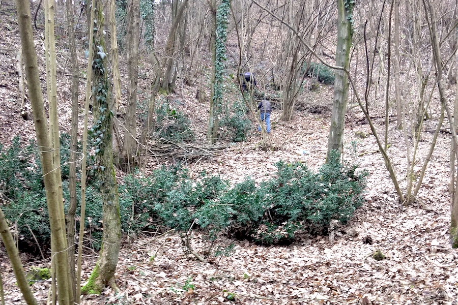 La scuola al lago e nel bosco
