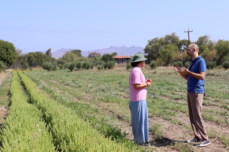 3991_3991_agroanelixi-field-visit-3.jpg